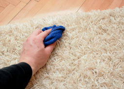 Carpet Stain Removal lara