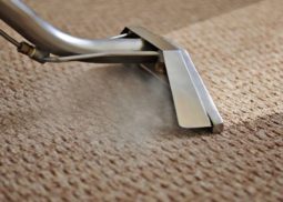 Carpet Steam Cleaning Broadmeadows