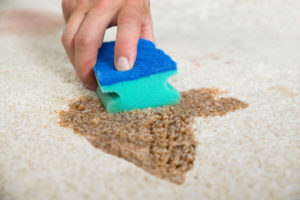 Carpet Stain Removal baccus marsh