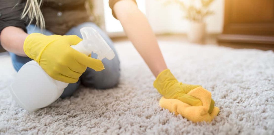 Carpet Stain Removal Templestowe