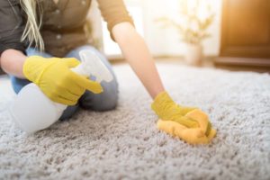 Carpet Stain Removal Templestowe