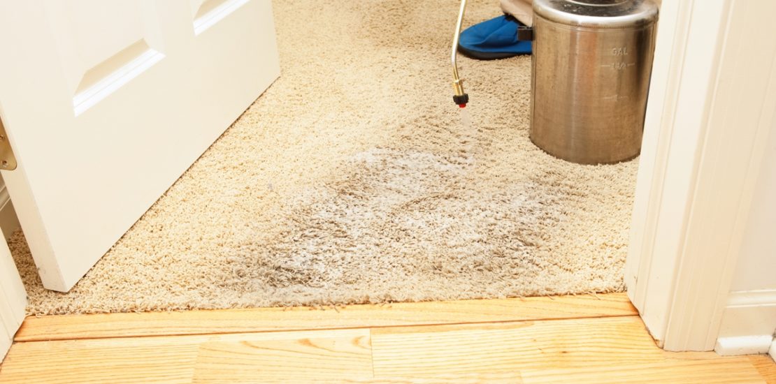 Carpet Stain Removal Wheelers Hill