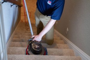 Carpet Stain Removal Diggers Rest
