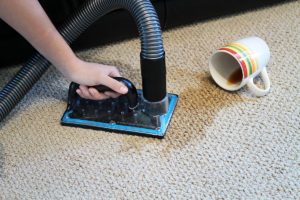 Carpet Stain Removal Lancefield