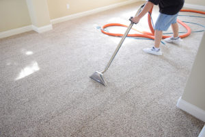 Carpet Steam Cleaning baccus marsh