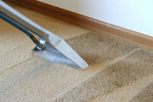 Carpet Steam Cleaning Malvern East
