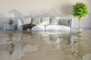 Flood Damage Restoration torquay