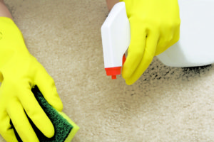 Odor Removal Treatment Lancefield