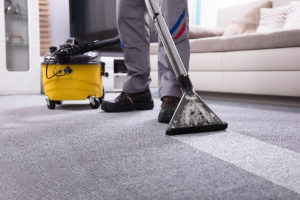 Rug Steam Cleaning torquay