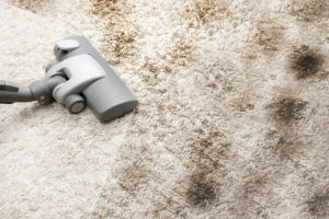 Carpet Stain Removal Bundoora