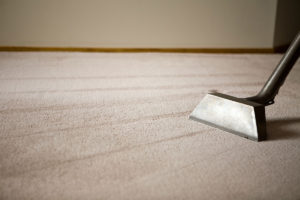 Wet Carpet Drying Brunswick