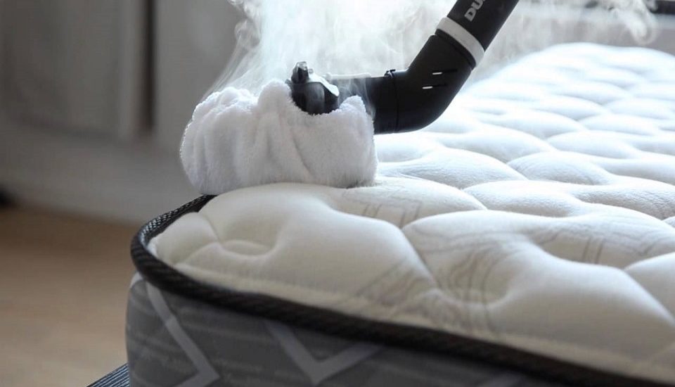 will steam cleaning a mattress kill bed bugs