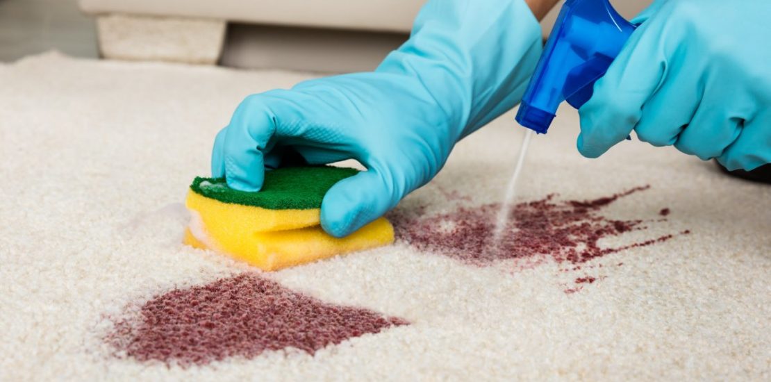 Carpet Stain Removal Hoppers Crossing