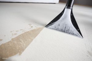 Carpet Stain Removal carlton