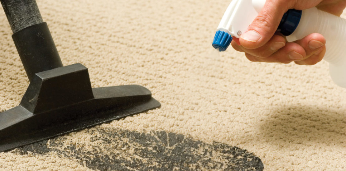 Carpet Stain Removal Camberwell
