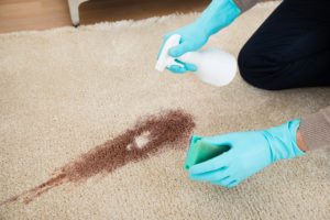 Carpet Stain Removal Thomastown