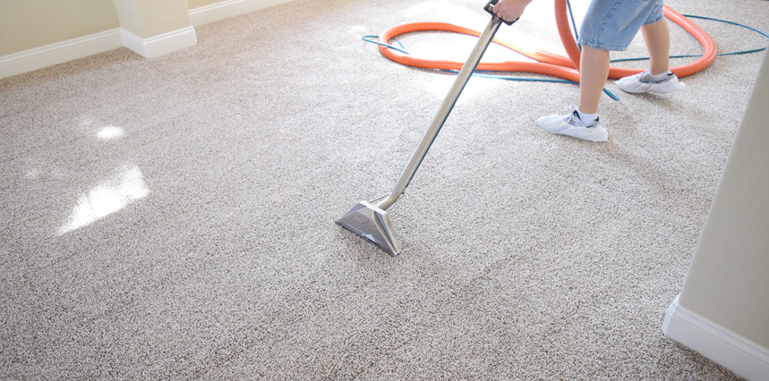 Carpet Steam Cleaning baccus marsh