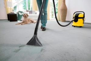 Carpet Steam Cleaning Mornington
