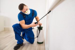 Odor Removal Treatment Noble Park