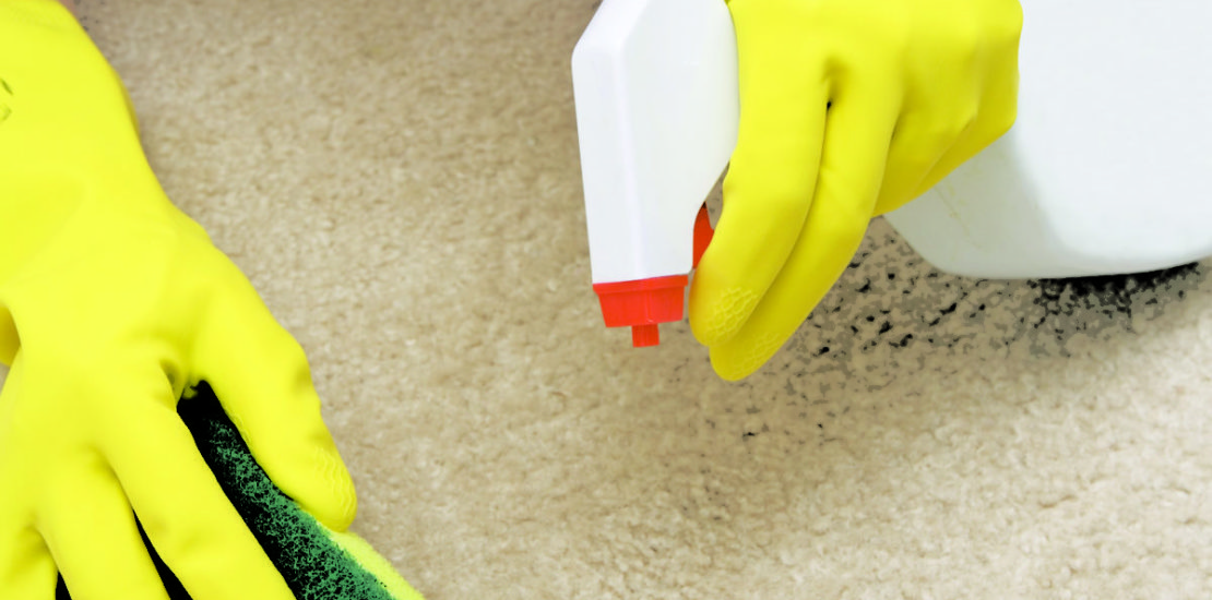 Odor Removal Treatment Lancefield