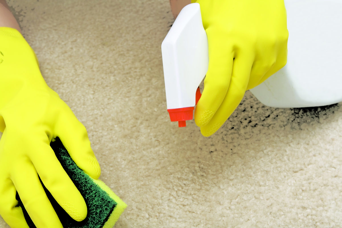 Odor Removal Treatment Manor Lakes